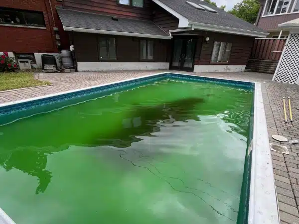 Backyard pool with green, murky water, brick patio, house in background, and pool cleaning tools on the ground.